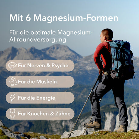 Magnesium Complex mit der Angabe von vier Anwendungsgebieten: Nerven und Psyche, Muskeln, Energie, Knochen und Zähne 