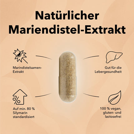 Die Produktdose von Mariendistel mit zwei Kapseln im Vordergrund und Pfeiltexte und Produktinformationen dazu mit folgendem Text: Mariendistelsamen-Extrakt, auf mind. 80 % Silymarin standardisiert, gut für die Lebergesundheit, 100% vegan, gluten- und laktosefrei, pflanzliches Mittel für die Leber