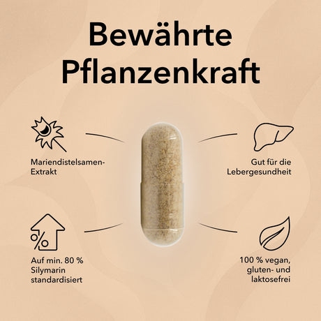 Die Kapsel von Mariendistel mit Produktinformationen dazu mit folgendem Text: Mariendistelsamen-Extrakt, auf mind. 80 % Silymarin standardisiert, gut für die Lebergesundheit, 100% vegan, gluten- und laktosefrei, pflanzliches Mittel für die Leber