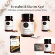 Medicom Mental Balance Bundle mit vier Ergänzungsfläschchen und einer Ginseng-Box auf hellem Hintergrund zur Unterstützung der geistigen Konzentration und des Stressabbaus.