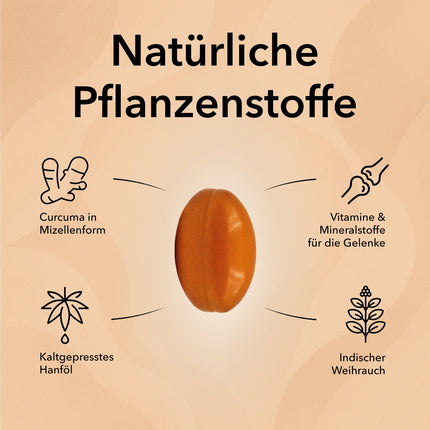 Produktinformationen zu Nobilin Gelenk Complex®: Curcuma, Hanföl und Weihrauch, innovativ und wirksam, bekannt aus der Heilpflanzenkunde, mit wichtigen Gelenkvitaminen, unterstützt Beweglichkeit sowie die Verzehrempfehlung. Rechts im Bild ein Keramiklöffel mit zwei Soft-Gel-Kapseln