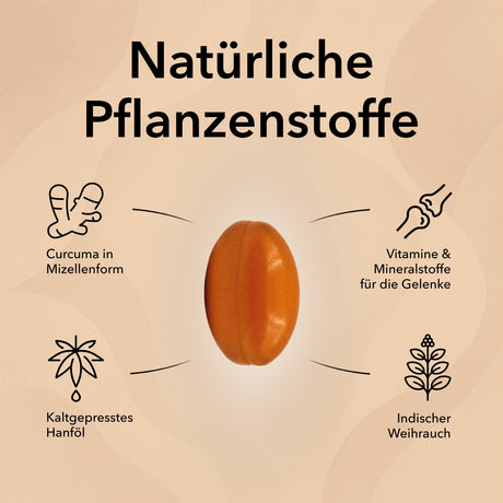 Hanfl-Kapseln | natrlich, hochwertig, geprft Hanfl-Kapseln | natrlich, hochwertig, geprft