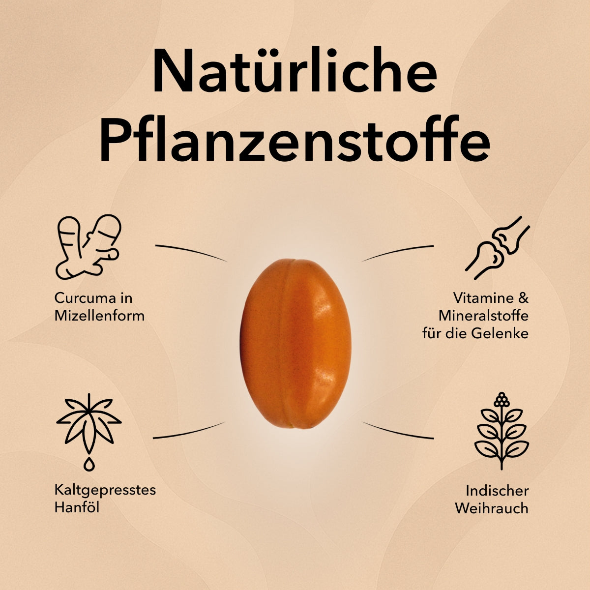 Produktinformationen zu Nobilin Gelenk Complex®: Curcuma, Hanföl und Weihrauch, innovativ und wirksam, bekannt aus der Heilpflanzenkunde, mit wichtigen Gelenkvitaminen, unterstützt Beweglichkeit sowie die Verzehrempfehlung. Die Kapsel von Nobilin Gelenk Complex in der Mitte