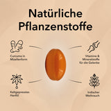 Produktinformationen zu Nobilin Gelenk Complex®: Curcuma, Hanföl und Weihrauch, innovativ und wirksam, bekannt aus der Heilpflanzenkunde, mit wichtigen Gelenkvitaminen, unterstützt Beweglichkeit sowie die Verzehrempfehlung. Die Kapsel von Nobilin Gelenk Complex in der Mitte