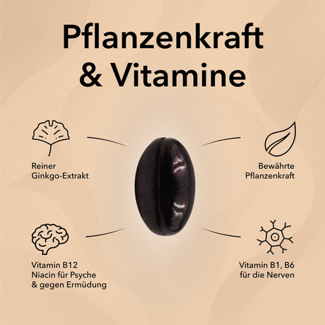 Die Kapsel von Nobilin Ginkgo mit Wirkstoffinformationen, bewährte Pflanzenkraft, Vitamin B1, B6 und Vitamin B12 sowie reiner Ginkgo-Extrakt