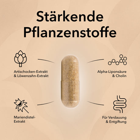 Produktinformationen zu Nobilin Leber Vital: Artischoken-Extrakt, Löwenzahn-Extrakt Alpha-Liponsäure, Cholin, Mariendistel-Extrakt. Gut für die Verdauung und Entgiftung. Die Kapsel von Nobilin Gelenk Complex in der Mitte