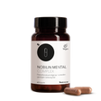 Die Produktdose von Nobilin Mental Complex mit zwei Kapseln im Vordergrund