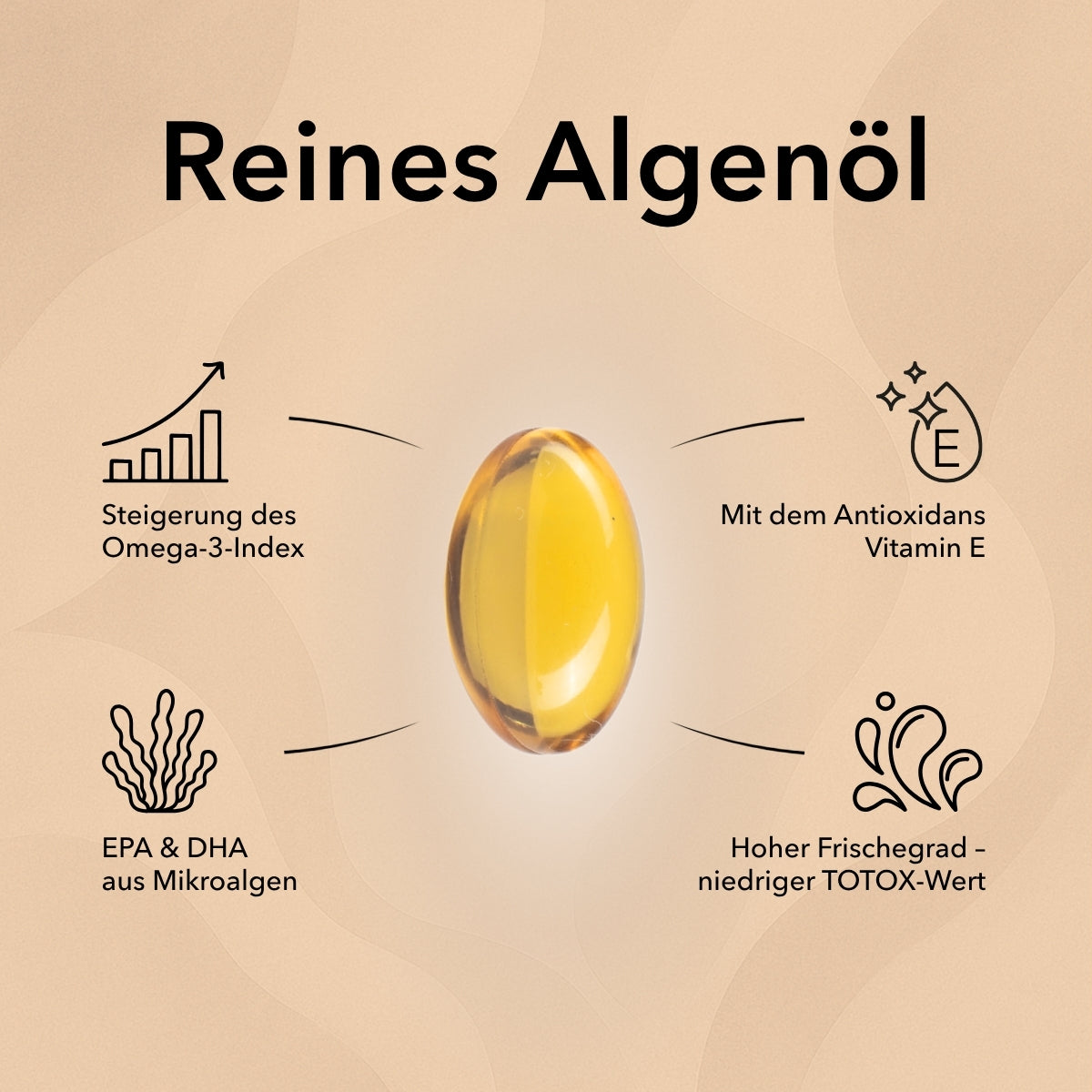 Produktinformationen zu Omega 3 Vegan Algenöl – einzige pflanzliche Quelle für EPA und DHA, frei von jeglichen Verunreinigungen, niedriger Totox-Wert, Verzehrempfehlung.