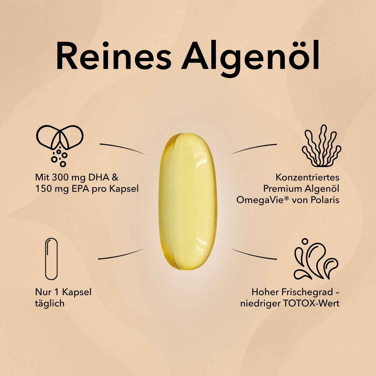 Abgebildet ist eine einzelne Kapsel Omega 3 Vegan Algenöl von Medicom mit Angabe der Inhaltsstoffe und weitere Produktinformationen wie 300 mg DHA und 150 mg EPA, Tagesdosis nur 1 Kapsel, konzentriertes Algenöl von OmegaVie® von Polaris, hoher Frischegrad­ niedriger TOTOX-Wert