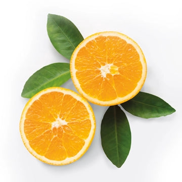 Zwei Orangenschalenhälften