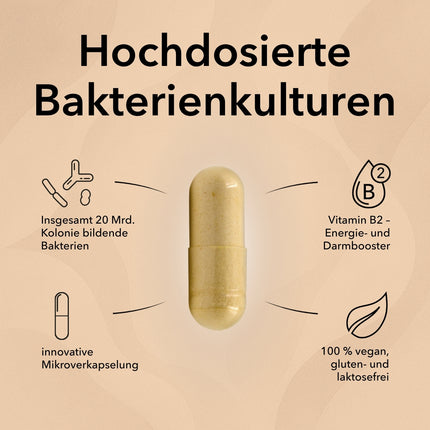 Produktinformationen zu ProBalance. Informationen zum Produkt wie Bakterienkulturen und Vitamin B2
