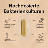 Produktinformationen zu ProBalance. Informationen zum Produkt wie Bakterienkulturen und Vitamin B2
