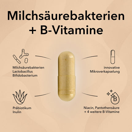 Die Kapsel von ProBasis mit Produktinformationen: Bakterienkulturen, Inulin, Niacin, B-Vitamine