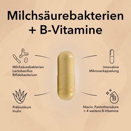 Die Kapsel von ProBasis mit Produktinformationen: Bakterienkulturen, Inulin, Niacin, B-Vitamine