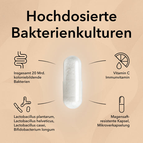 Produktinformationen zu ProMental mit diesen Informationen:
Starke Kombination: Milchsäurebakterien & Vitamin B6
Natürlich und wirksam
Bulletpoint 1: Bewährte Milchsäurebakterien – insgesamt 20 Mrd. KBE
Bulletpoint 2: Optimale Kombination mit Gehirn-Vitamin B6
Bulletpoint 3: Ganzheitliche Unterstützung 
Verzehrempfehlung und rechts im Bild eine Hand mit Kapsel