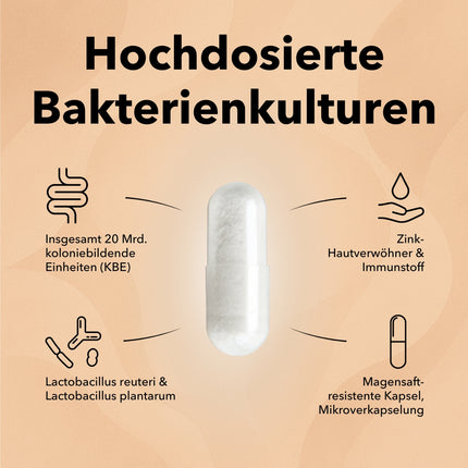 Die Produktdose von ProSkin auf einem Marmortablett mit zwei Kapseln und Produktinformationen: Optimal kombinierte Bakterienstämme in hoher Dosierung, 10 Mrd. KBE Lactobacillus reuteri, 10 Mrd. KBE Lactobacillus plantarum, Zink – Hautverwöhner & Immunstoff, magensaftresistente Kapsel, innovative Mikroverkapselung, in wiederverwendbarer, recyclebarer Dose