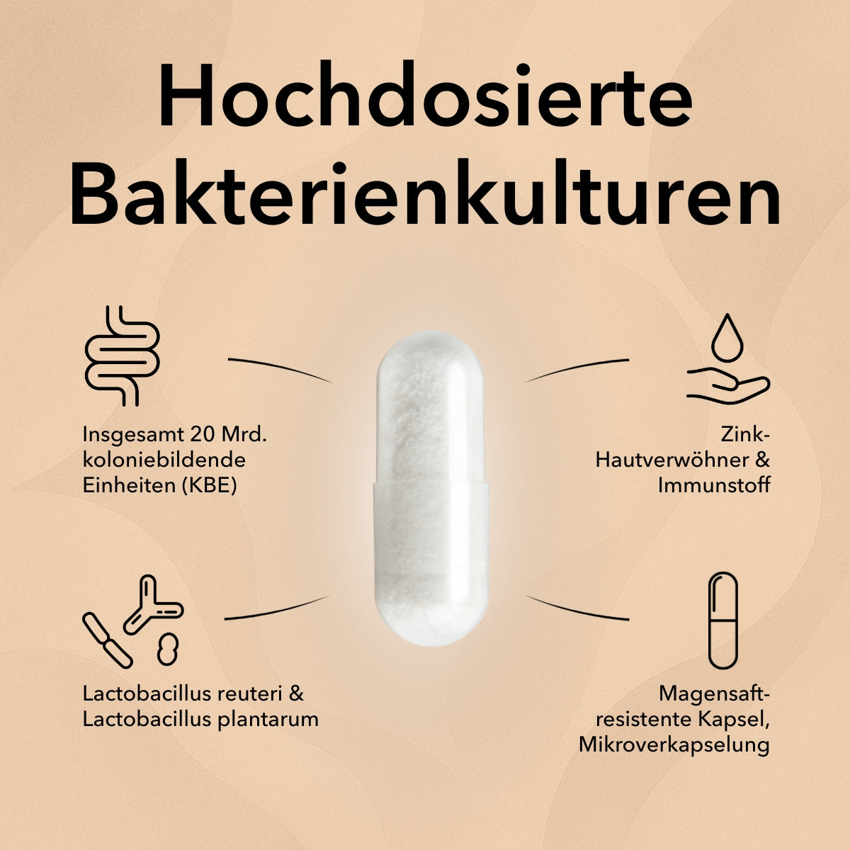 Die Kapsel von ProSkin in der Mitte mit Produktinformationen: Optimal kombinierte Bakterienstämme in hoher Dosierung, 10 Mrd. KBE Lactobacillus reuteri, 10 Mrd. KBE Lactobacillus plantarum, Zink – Hautverwöhner & Immunstoff, magensaftresistente Kapsel, innovative Mikroverkapselung.
