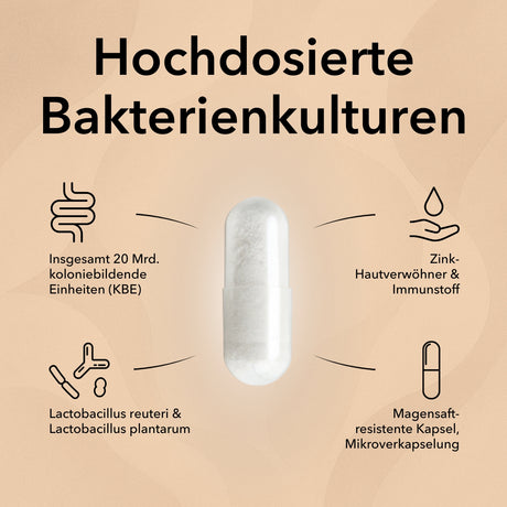 Die Kapsel von ProSkin in der Mitte mit Produktinformationen: Optimal kombinierte Bakterienstämme in hoher Dosierung, 10 Mrd. KBE Lactobacillus reuteri, 10 Mrd. KBE Lactobacillus plantarum, Zink – Hautverwöhner & Immunstoff, magensaftresistente Kapsel, innovative Mikroverkapselung.