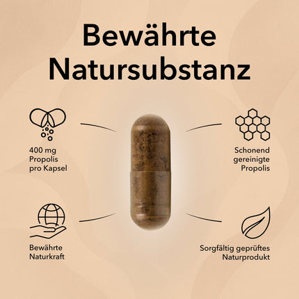 Propolis Produktinformationen mit folgenden Angaben: Gereinigte Propolis, stärkend aus dem Bienenreich, 1 Kapseln pro Tag, Naturprodukt, 400 mg Propolis pro Kapsel