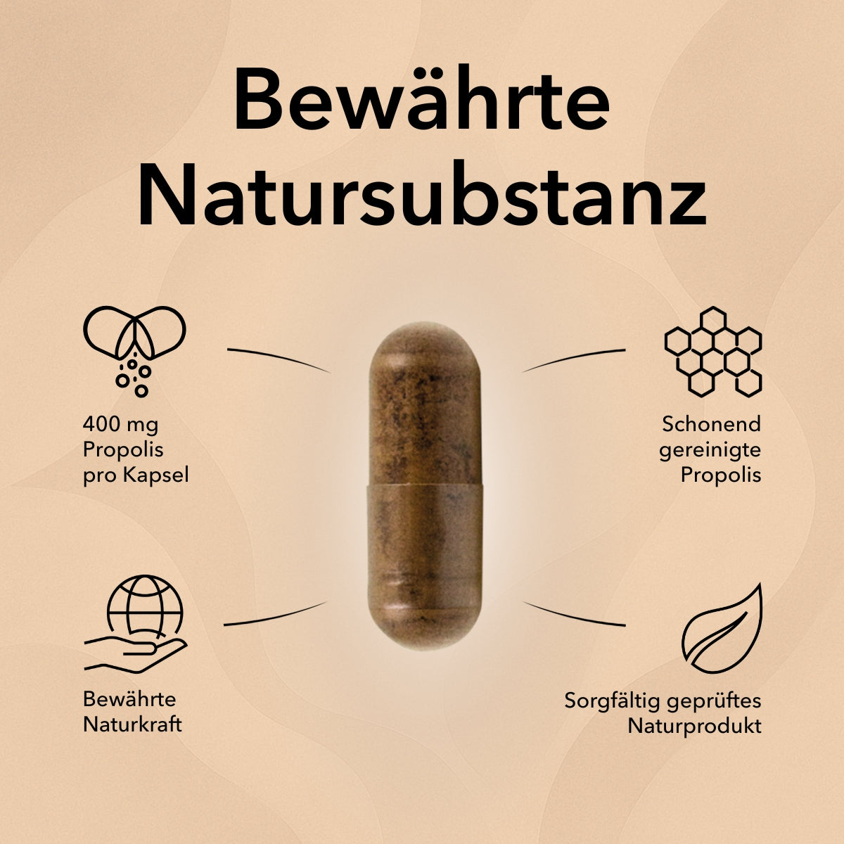 Propolis Produktinformationen mit folgenden Angaben: Gereinigte Propolis, stärkend aus dem Bienenreich, 1 Kapseln pro Tag, Naturprodukt, 400 mg Propolis pro Kapsel