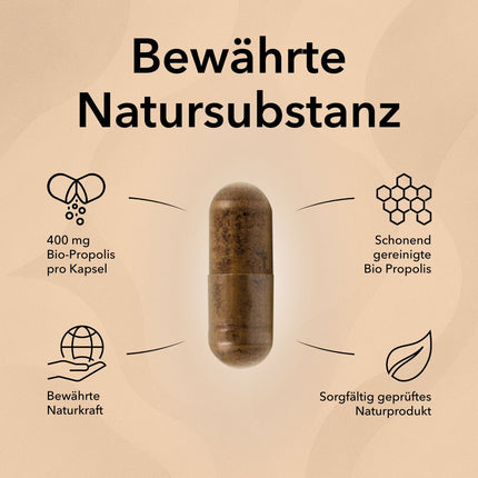 Propolis Produktinformationen mit folgenden Angaben: Gereinigt Propolis, stärkend aus dem Bienenreich, 1 Kapseln pro Tag, Naturprodukt, 400 mg Bio-Propolis