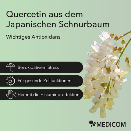 Quercetin aus dem Japanischen Schnurbaum
Wichtiges Antioxidans
Moodbild mit den Blüten des Japanischen Schnurbaums. Folgende Informationen zum 
Punkt 1: Bei oxidativem Stress 
Punkt 2: Für gesunde Zellfunktionen
Punkt 3: Hemmt die Histaminproduktion