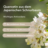 Quercetin aus dem Japanischen Schnurbaum
Wichtiges Antioxidans
Moodbild mit den Blüten des Japanischen Schnurbaums. Folgende Informationen zum 
Punkt 1: Bei oxidativem Stress 
Punkt 2: Für gesunde Zellfunktionen
Punkt 3: Hemmt die Histaminproduktion