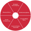 Symptome bei Frauen mit Hormonschwankungen in einem Diagramm dargestellt