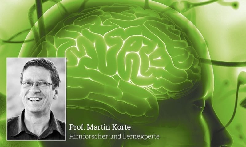 Portraitbild Martin Korte und Illustration eines Gehirns