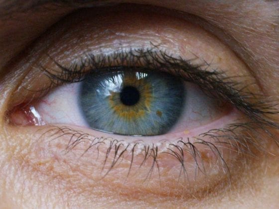 Ein Auge mit blau-grau-gelb Farben