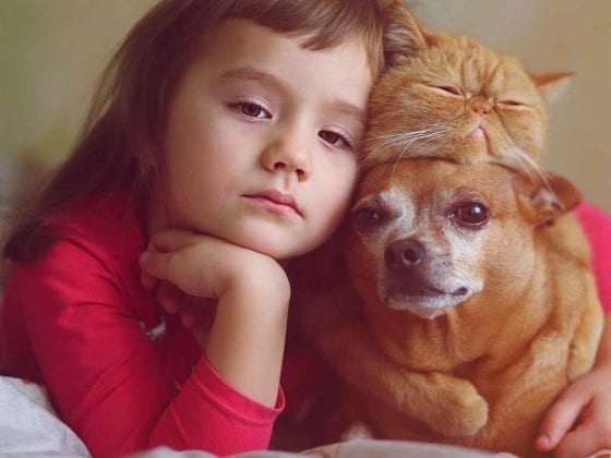 Ein Mädchen mit Haustier Hund und Katze