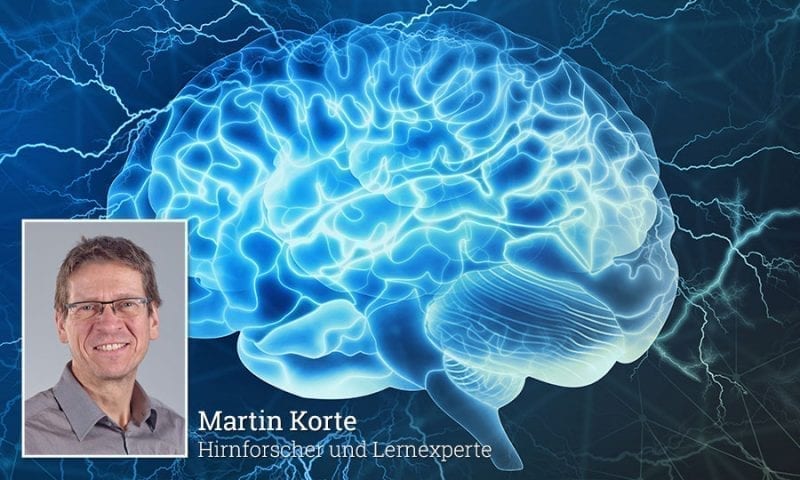 Im Portraitbild Gehirnforscher Martin Korte und eine Gehirn