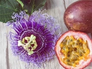 Eine Passionsblume neben einer halben Maracujafrucht