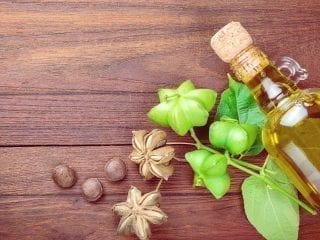 Sacha-Inchi-Nüsse, die Pflanze und Sacha-Inchi-Öl in einer Glasflasche auf einer Holzunterlage