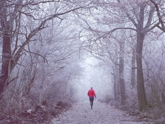 Ein Läufer im Winterwald