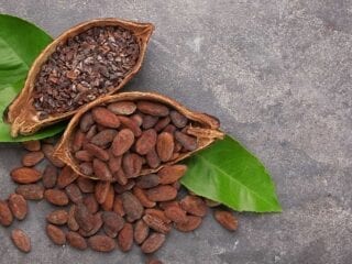 Kakaobohnen mit Samen und Kakaonibs