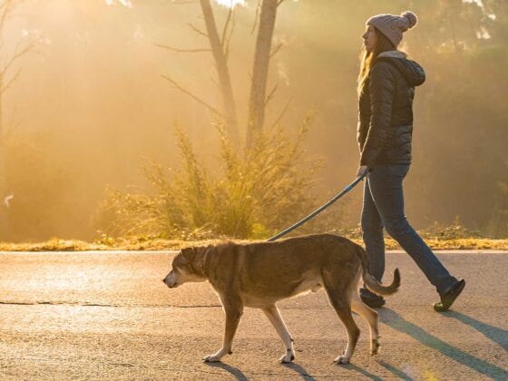 Frau geht mit Hund spazieren
