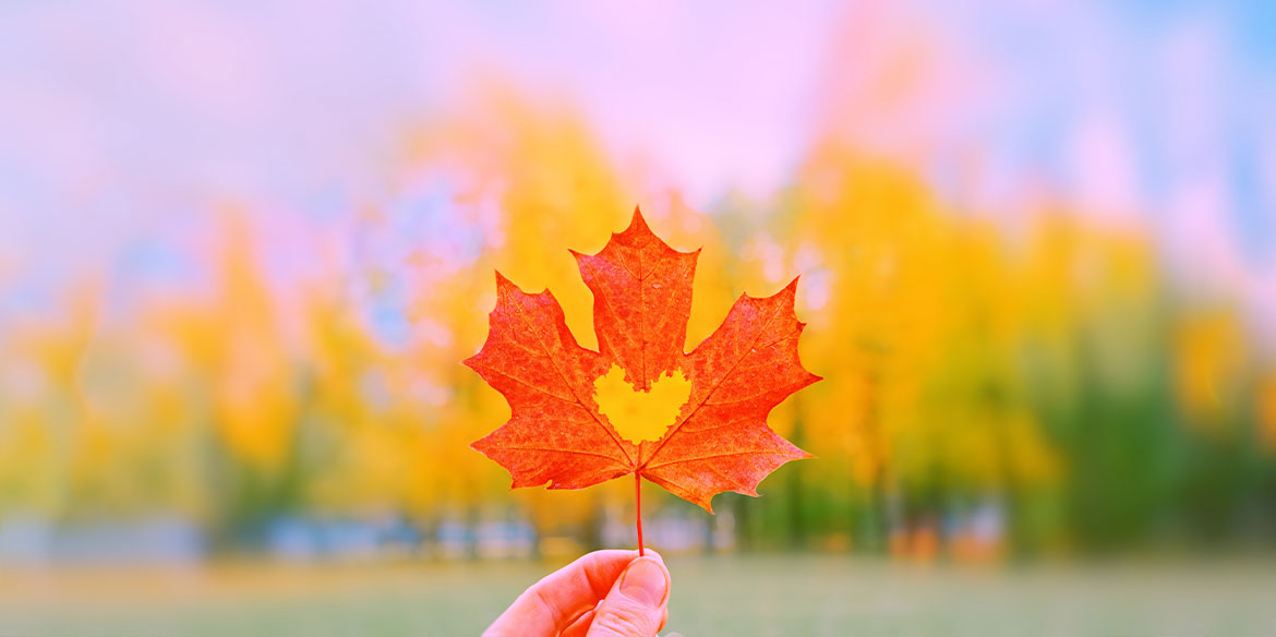 Ein Ahornblatt mit einem ausgestochenem Herz. Landschaft in herbstlichen Farben