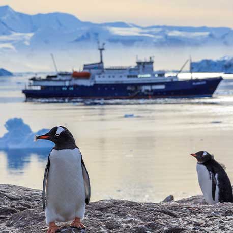 Zwei Pinguine an Land, im Meer ein Fischfangschiff