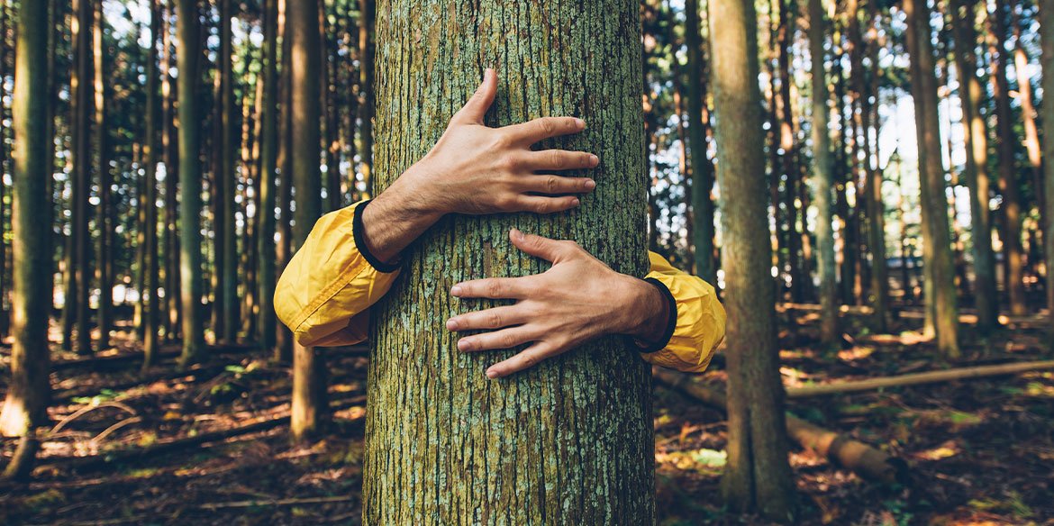 Ein Mann steht im Wald und umarmt einen Baumstamm