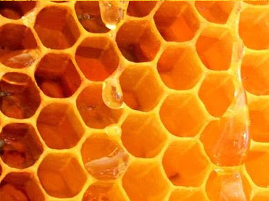 Bienenstöcke mit Propolis (Kittharz)