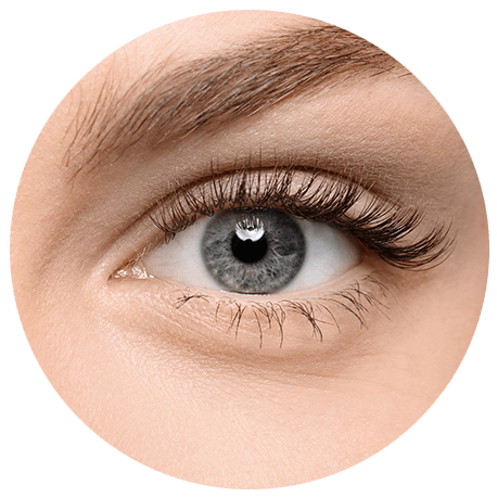 Nahaufnahme von einem blau-grauen Auge – Nobilin Visionvital mit Heidelbeerextrakt für die Augen