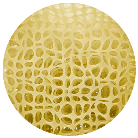 gelbliche Knochenstruktur