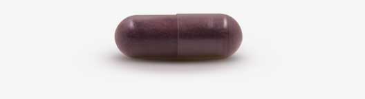 1 Kapsel Cranberry-Extrakt mit Proanthocyanidinen und Probiotik