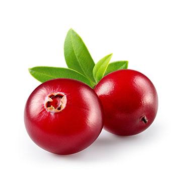 Zwei rote Cranberrybeeren – hoher Anteil an Vitamin C