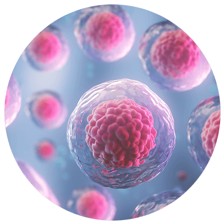 Illustration von geschützten Zellen in blau, grau und rosa Farbtönen