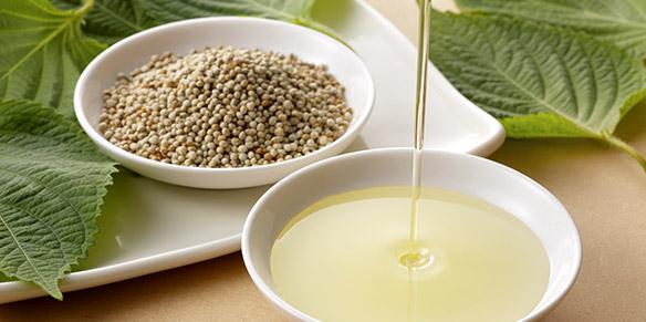 Linolensäure in Lebensmitteln wie Samen und Öle