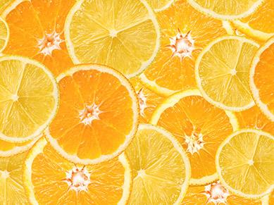 Orangen- und Zitronenscheiben